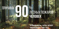 Берегите лес от огня: Минстрой Кировской области поддерживает федеральную кампанию «Антипожары» - Министерство строительства