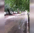 Улицу в центре Воронежа затопило из-за коммунальной аварии - ГТРК Воронеж