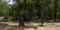 Фото: пресс-служба администрации Краснодара - ТК Краснодар