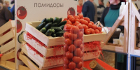 В Калужской области снизились цены на сезонные овощи - Правительство Калужской области