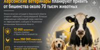 В Херсонской области планируют привить от бешенства около 70 тысяч животных - Представительство Херсонской области в Республике Крым