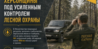 Лесная охрана усилила контроль за сосновыми борами Херсонщины - Представительство Херсонской области в Республике Крым