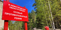 Минлесхоз напомнил о правилах пожарной безопасности в лесах - НТА-Приволжье