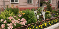 В Ленинском районе Красноярска из 800 заявок выбрали победителей  I этапа конкурса «Самый благоустроенный район» - 1-LINE