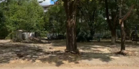 Мэр Краснодара обсудил с горожанами будущее озеленение города скриншот видео из канала в MAX (12+) Евгения Наумова - KrasnodarMedia