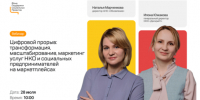 Вебинар «Цифровой прорыв: трансформация, масштабирование, маркетинг услуг социальных предпринимателей и НКО на маркетплейсах» - Ресурсный инновационный центр