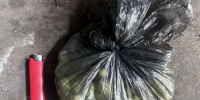 JPG Файл - УМВД Орловской области