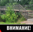 Пешеходный мост в центре Новозыбкова закроют на ремонт - БрянскНОВОСТИ.RU