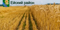 Самые высокие результаты уборки урожая в Ейском районе за последнюю отчетную дату - Администрация Ейского района