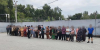 Под Волгоградом полицейские выявили нелегальных мигрантов на сельхозполях - Volganet.Net