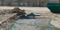 Нарушитель добровольно компенсировал 297 тыс. рублей за вред, причиненный почвам в городе Кимры Тверской области - Росприроднадзор