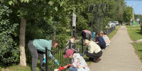 Проведен очередной день санитарной уборки города - Pesochnya40.Com