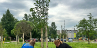 You are viewing the image with filename 1.jpg - Ярославская ГСХА