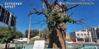 Фото: Скриншот с видео Народного фронта АО. - KaspyInfo.Ru