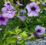 5b632f72-337d-42a7-9674-49a68d450607 - Sochi24.tv
