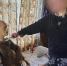 Жительницу Степновского округа осудили за покушение на убийство мачехи - Вечерний Ставрополь