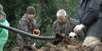 В Багратионовском округе, неподалёку от посёлка Корнево, обнаружено захоронение двадцати советских воинов - Калининградская ГТРК