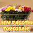 C Днём работника торговли!. - Клинцовский район