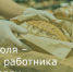 25 июля - День работника торговли - Зерноградский район