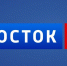 Дальний Восток в смартфоне: телеканал «Восток 24» начал трансляцию в мессенджере МАКС - gtrkamur.ru - ГТРК Амур
