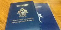 Александр Шуваев отметил профессионализм следователей в приграничье - Сетевое издание Победа 31