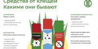 Какие средства эффективны против клещей - Агентство Информационных Сообщений