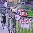 В Прокопьевске подростки решили покататься на аттракционах "Солнечного" ночью - Prokopievsk.ru