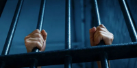 Фото: hxdbzxy/Shutterstock/Fotodom - Ямал-Медиа