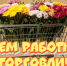 Нажмите для предварительного просмотра изображения - Быково-медиа
