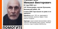 С 8 июля о нем ничего не слышно: в Пупышево ищут 81-летнего мужчину - SyasNews.Ru