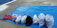 В Бурятии у иркутянина изъяли партию омуля на 1,3 млн рублей - ИА Байкал-Daily