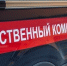 СК возбудил дело о теракте после атаки ВСУ на гражданские объекты в Ленобласти - Кингисепп-сегодня.рф
