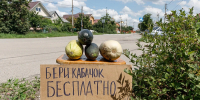 Четыре сезона: как пережить кабачковый апокалипсис - Gorod48.ru