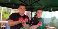 Ярмарочный расклад: что почём в разгар лета - Газета Калининец