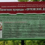 В Брянском районе аншлагами отметили «Орловские дворики» и юбилейный дендрарий - БрянскToday.Ru