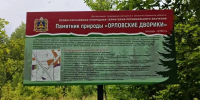 В Брянском районе аншлагами отметили «Орловские дворики» и юбилейный дендрарий - БрянскToday.Ru
