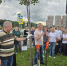 В День города на улице Табулевича высаживают липы - их ровно 70, по числу лет Обнинска - NgRegion.Ru