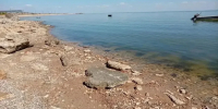 Фото из канала Светланы Камбуловой - DonNews.Ru
