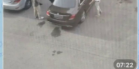 В Кызыле бдительные граждане помогли полиции остановить пьяную компанию на машине - ИА Тува-Онлайн