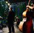 Джазовый фестиваль "Пенаты Jazz – 2026" пройдет в парке Музея-усадьбы И. Е. Репина "Пенаты" - Metro Петербург