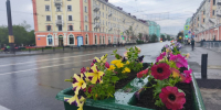 петуньи в вазоне на улице - ИА Nord-News.Ru