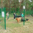 В парке «Молодёжный» открылись площадки для выгула собак - Администрация г. Дзержинск