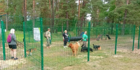 В парке «Молодёжный» открылись площадки для выгула собак - Администрация г. Дзержинск