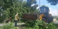 Появились фото последствий урагана в Нижнеломовском районе - Пензенская Правда