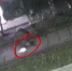 Молодой самокатчик погиб ночью в Петрозаводске (18+) - Gubdaily.Ru