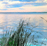 водоём, лето - О чём Говорит Смоленск