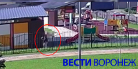 Воронежцев возмутило поведение воспитанников детсада в одном из ЖК - ГТРК Воронеж