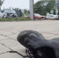 В Донецке водитель иномарки протаранил «ГАЗель», пытавшись скрыться от ДПС - Донецк Медиа