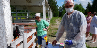 Ветеринарный фельдшер из Коми в числе лучших в России профессионалов - KomiOnline.Ru