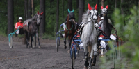 Фото Александры Конычевой - Пресс-центр Правительства